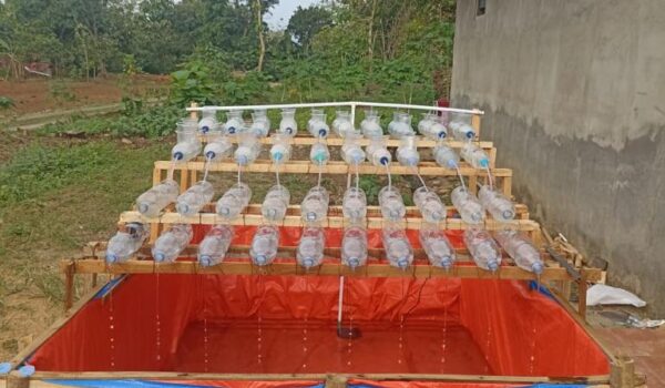 Penerapan Media Hidroponik di Pekarangan Rumah di Padukuhan Buyutan