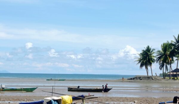 44 Ton Ikan Menyusut Karena Nikel, Nelayan Banggai Kehilangan Mata Pencaharian